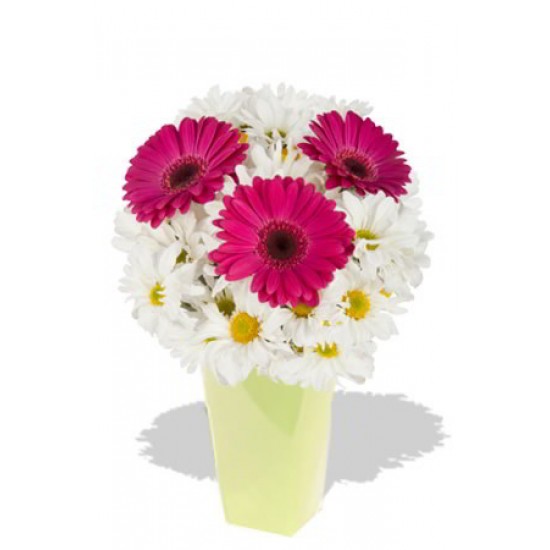 Gerbera and Chrysanthemum Bouquet