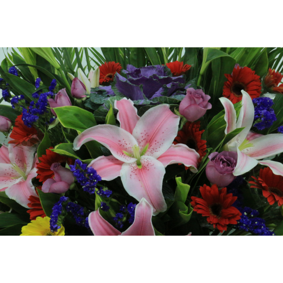 Flowers for Congratulations with Red Lily and Mixed Colors of Gerberas